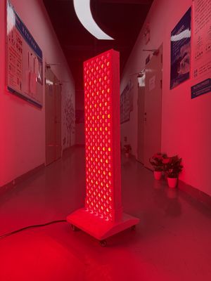 شراء High Power 2000W Red + Near Infrared Light Panel – OEM Factory with Pulse Mode & Brightness Control التصنيع عبر الإنترنت