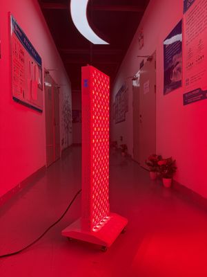 شراء OEM Factory Supply 2000W Red Light Therapy Panel – 630/660/810/830/850nm Wavelength Options التصنيع عبر الإنترنت