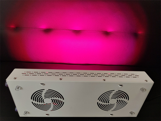 600w العناية بالجسم جهاز العلاج بالضوء الأحمر الطيف الأحمر نير تخصيص للجلد الخالص