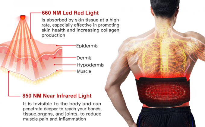 آلة العلاج بالضوء LED 850nm لتخفيف الوزن بالأشعة تحت الحمراء حزام التفاف وسادة الجسم الخفيفة 0