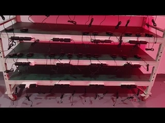 الحزام العلاجي بالضوء الأحمر