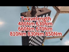 آلة العلاج بالضوء الأحمر 660nm 850nm AC لتخفيف الآلام للاستخدام الشخصي